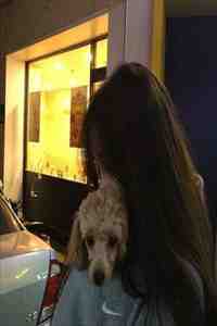 暗渡春色完结版