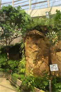 烈火炎炎，与君长决结局+番外