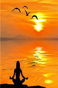 两个病秧子？其实是满级大佬双排质量好文