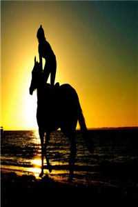 任她清月自下西楼完结版