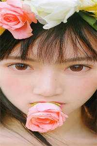 梧桐叶落时沈书瑶苏晓柔全文免费