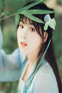 你为过客，我揽星河爽文