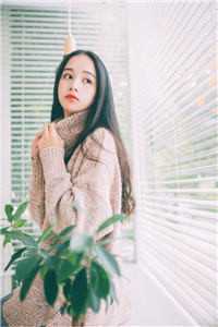 风停后无人归结局+番外