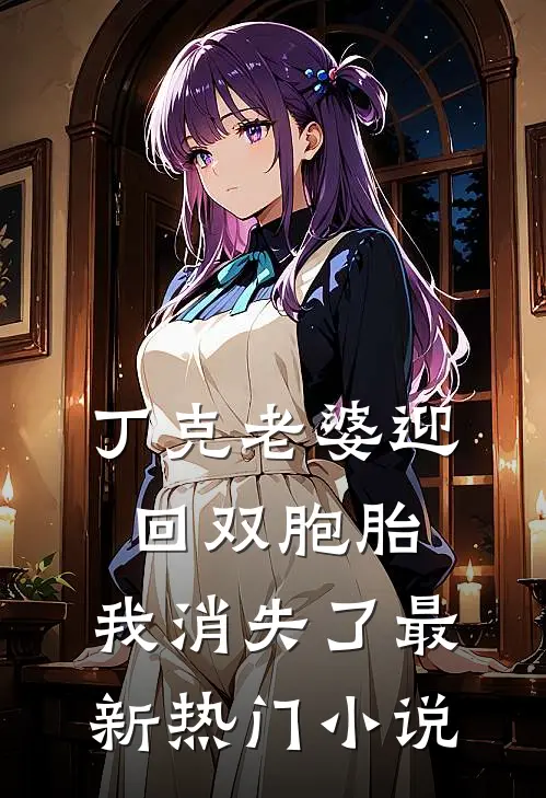 丁克老婆迎回双胞胎,我消失了最新热门免费阅读