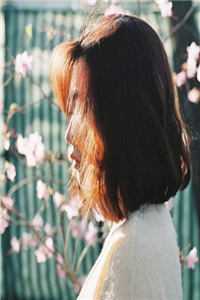 杨过：这次，换我来守护桃花岛by