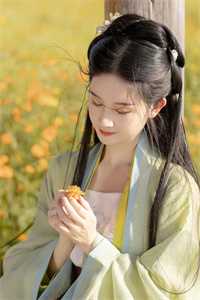 爱意随风消散全本