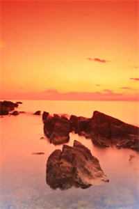 无独有偶全章阅读