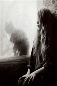 南鸿落雪故梦晚完结txt