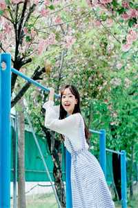 婚后三年，被她渣过的疯狗回国了完整文集阅读