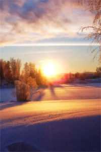 我三度求死后，冷艳小姑悔疯了结局+后续