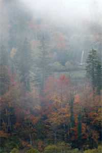 不渡寒江雪免费