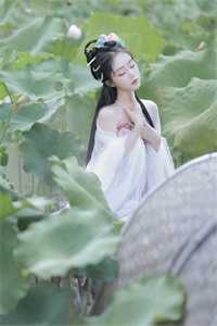 今我来思不知春已完结版