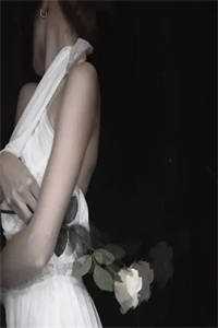 晚风辞朝露已完结