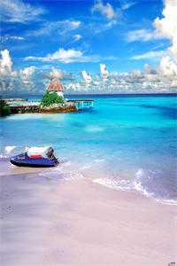 腿控竹马嫌我微胖，重欲太子爷却爱不释手阮菲珏周行远全文+免费