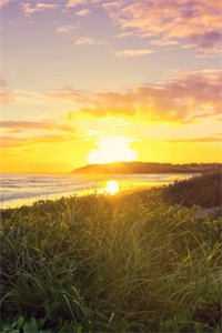 你跟初恋跑了，我嫁你大哥哭什么夏枝何以楼全局