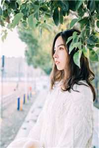 穿成太子爷前女友，他却只认我免费