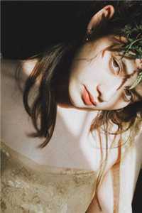 暮雪昭昭烬白头小说