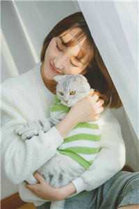 曾在你眼眸倒映深情顾凌风苏婉月全文免费