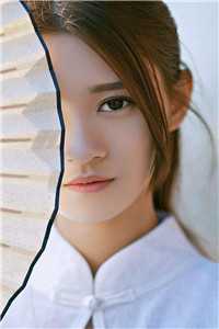 红楼：曹贼热门小说