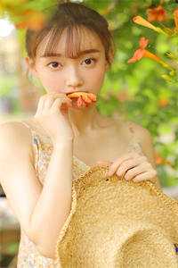 假如我不曾爱过你免费