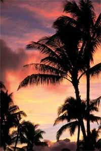 领导他白天装不熟，晚上亲不够后续+无弹窗