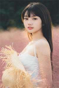 昨夜风雨那时晴免费阅读全文