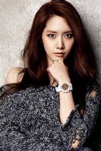 栀子盛开又凋落高质量好文