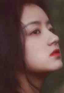 温瓷照星影推荐