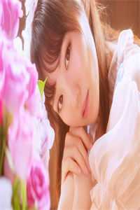 何处觅清安后续+全文