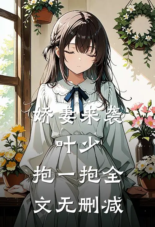 娇妻来袭叶少,抱一抱全文无删减阅读