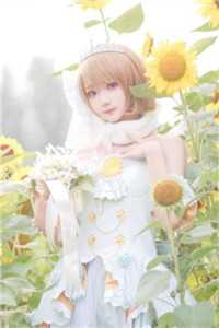 梨花落尽又一春小说全文免费阅读