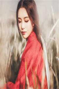 许你一场流星愿无错版