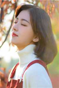 青山不记旧相逢全文+免费