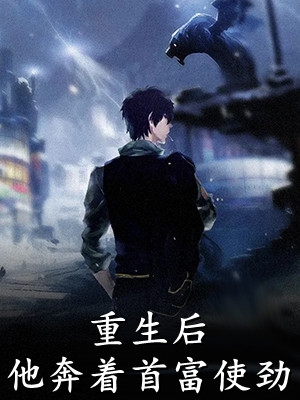 雪过后梦无声热门小说