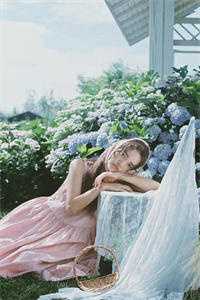 许你一场流星愿好看的小说推荐完结