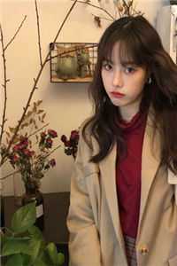 真情躲不开！陛下天天求偶遇篇章