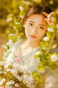 高考687分，她死在我的婚礼那天温蘅沈兆安结局+番外