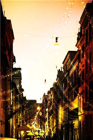 老公和初恋私奔假死，我送他一程by