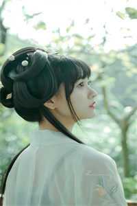 钓来物资救人，我成了全村靠山完整文集阅读