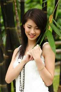 长安雪落满京华试读