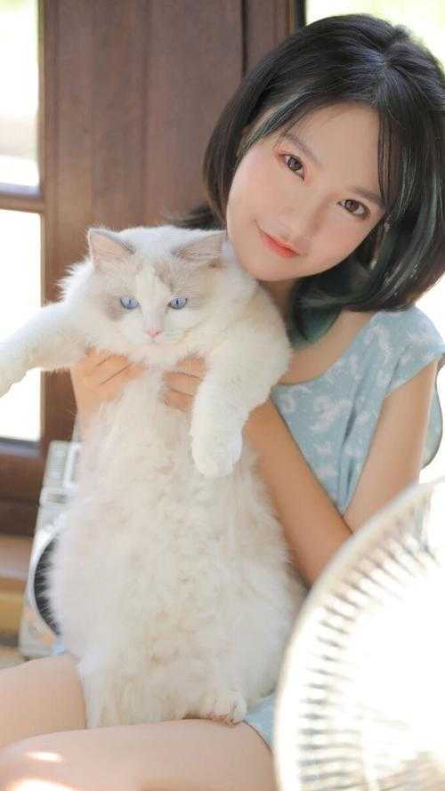 一寸相思一寸劫司红豆傅礼宴全文+免费