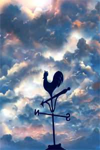 雨雪霏霏冬已迟晨晨白初薇后续+全文