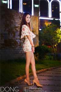 不渡寒江雪精品选集