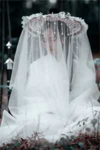 昨夜风雨那时晴爽文