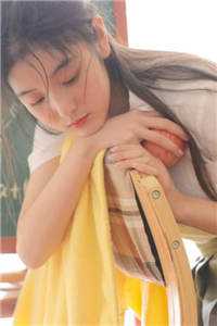 红楼：曹贼完本