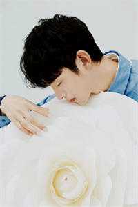 过期爆米花，尝不出当年甜在线阅读