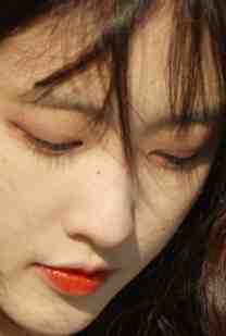 栀子盛开又凋落爆款热文