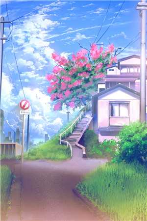 关雎洲上雪泷纱无广告