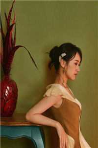 第八年爱恨成烬列表