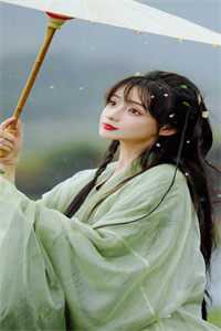 长安落雪，故人不归小说免费